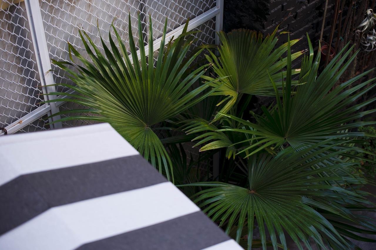 被愛咖啡小旅館 Birdeye Garden Tainan Exteriör bild